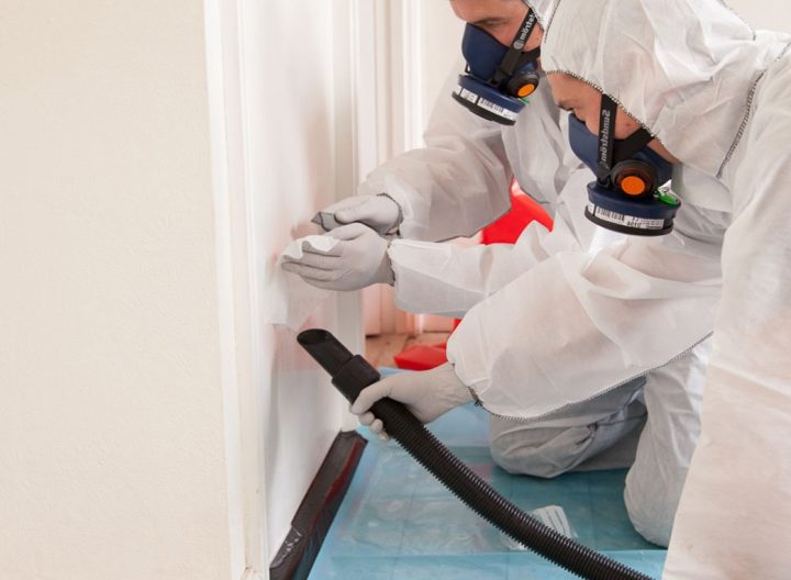 What is the asbestos survey? Some uses of it mentioned