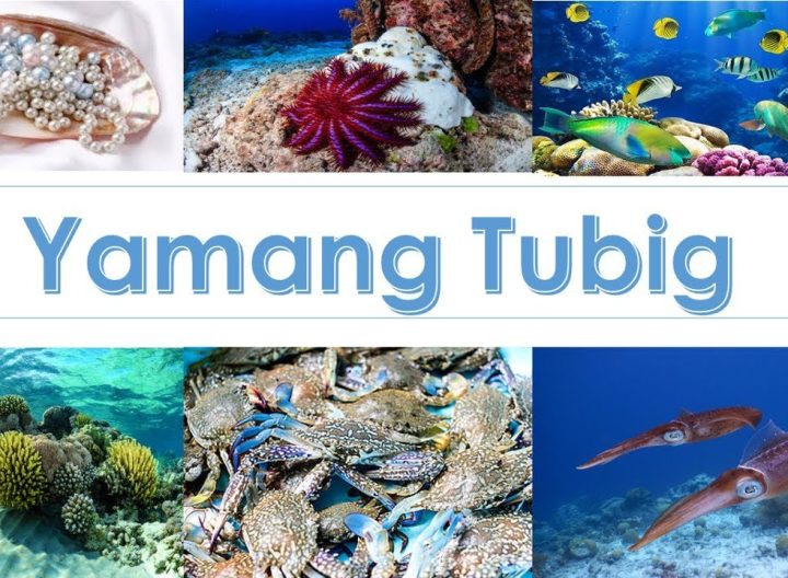 10 Halimbawa Ng Yamang Tubig Na Mahalaga Sa Kalikasan